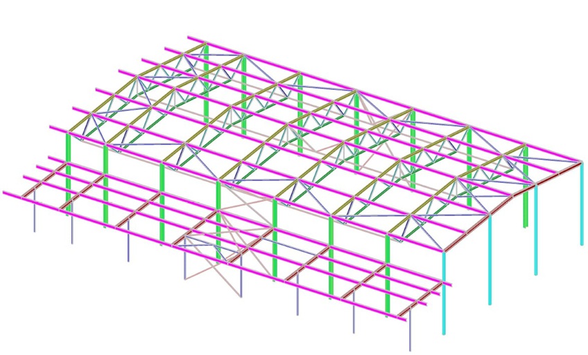 Structural model of a long-span industrial hall